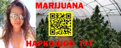 гашик Бердск